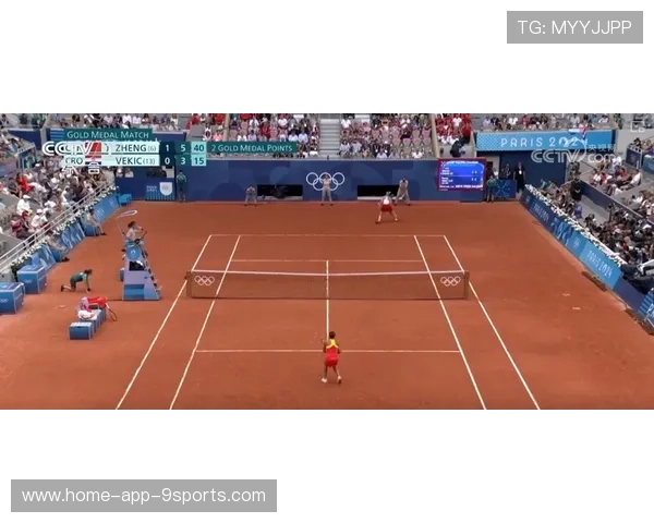 _网球文化节：展示不同国家运动特色_，网球 运动