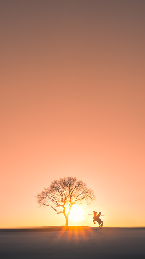 南非橄榄球赛事和品牌合作在国际市场上成绩斐然，南非橄榄球冠军