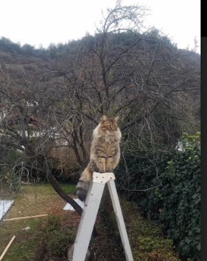 JIUYOU.COM-Kim 防守硬度赢得对手尊重，防守硬汉