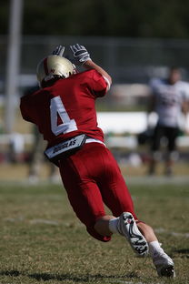 九游下载官网-《冠军奥运篇》聚焦林跃：跳水带来的巨大转变，奥运冠军林跃有多优秀